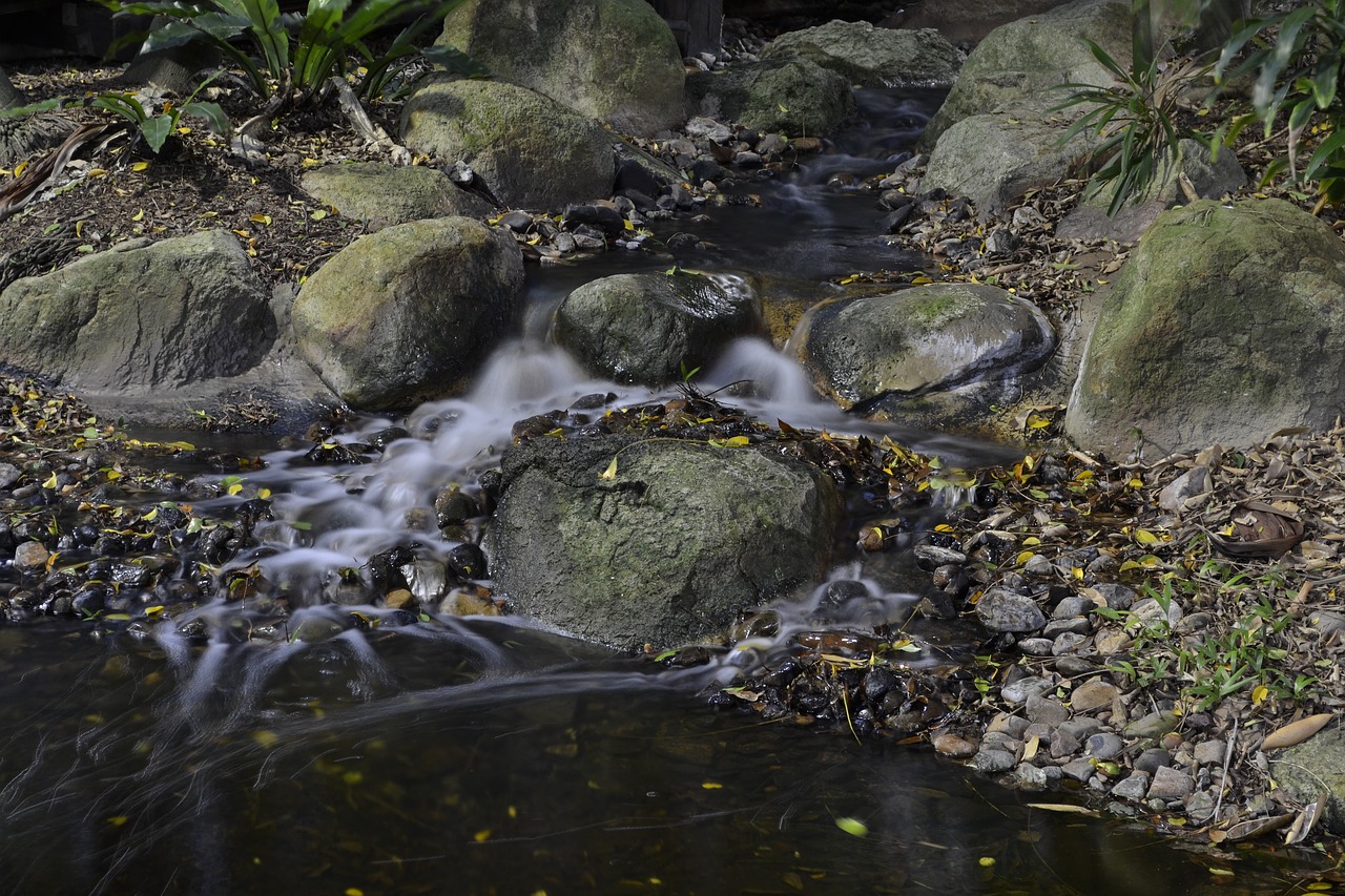 water  nature  motion free photo