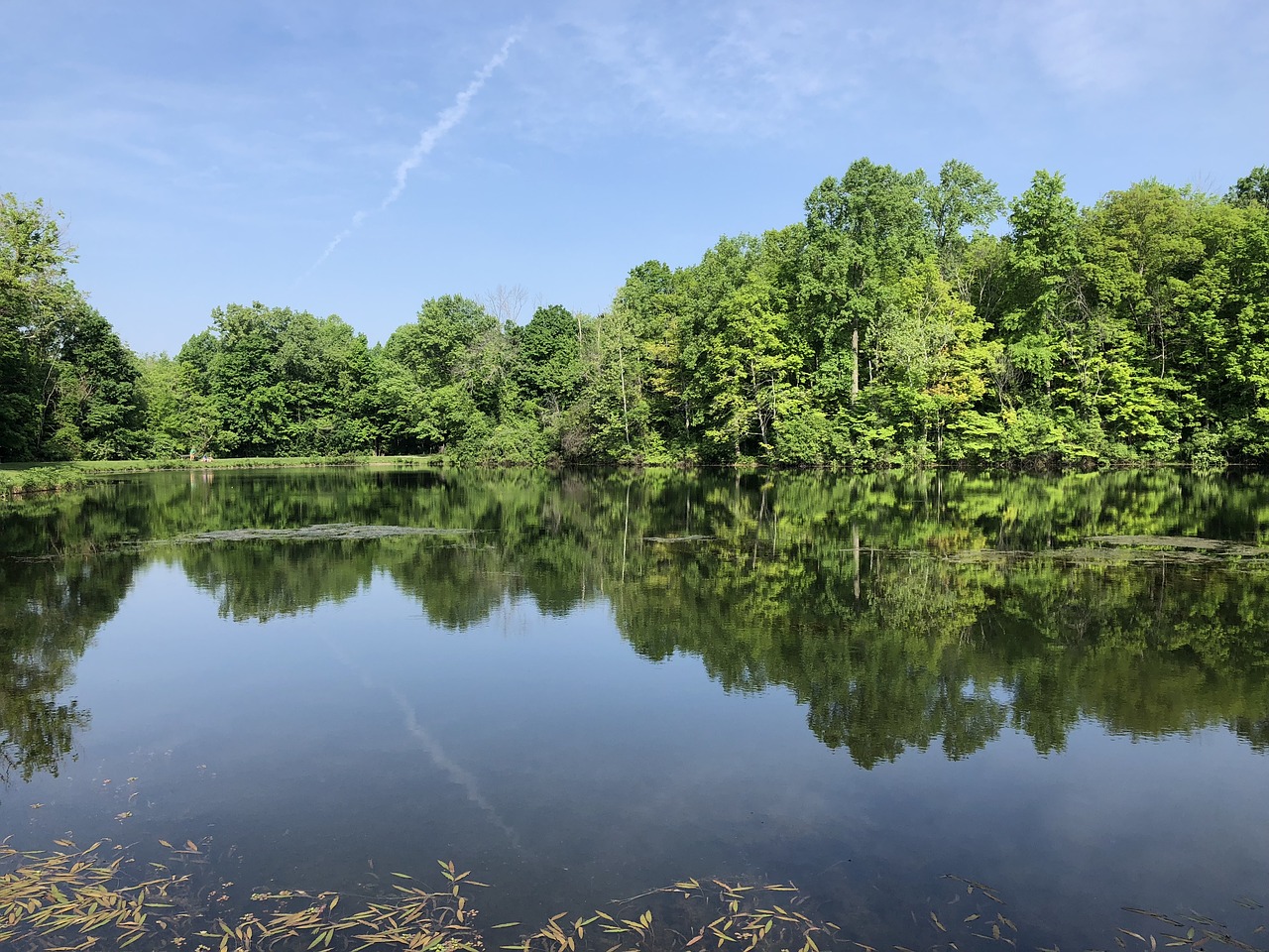 water  lake  trees free photo