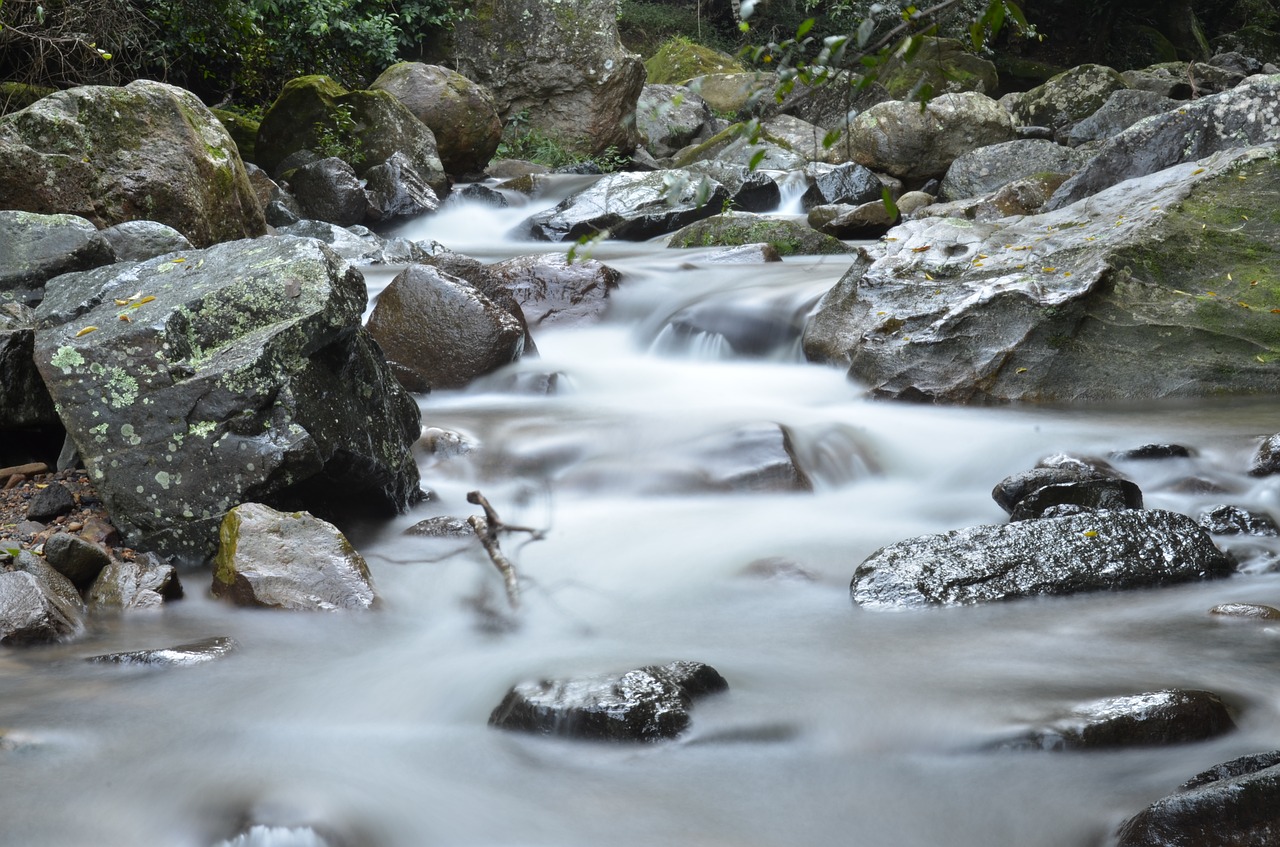 water  river  natural free photo