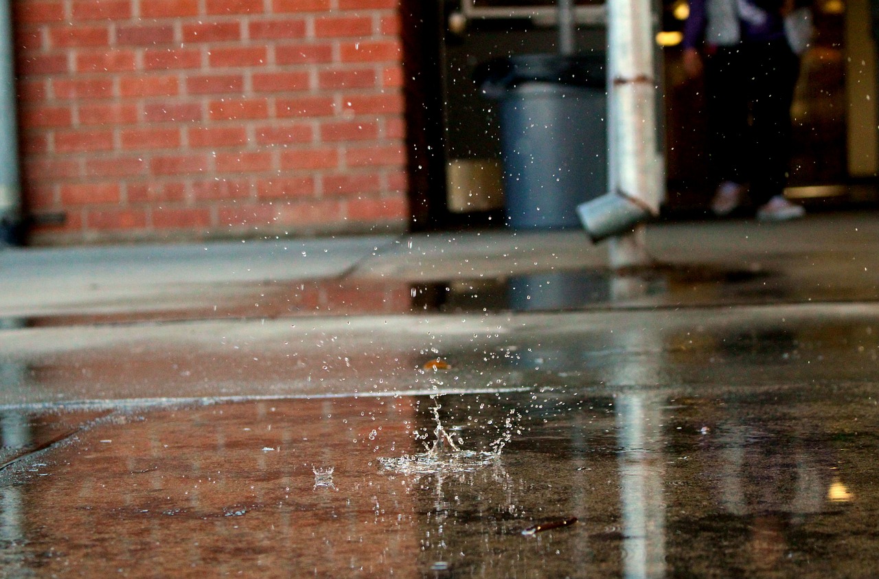 water  rain  wet free photo
