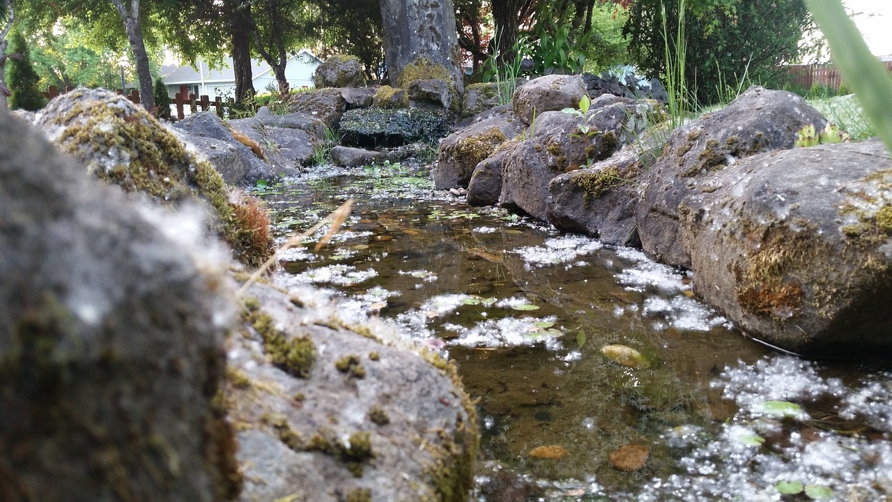 water  pond  rocks free photo