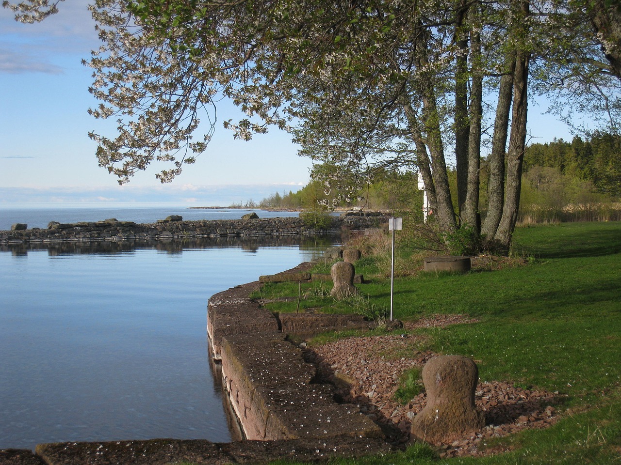 water tree piles free photo