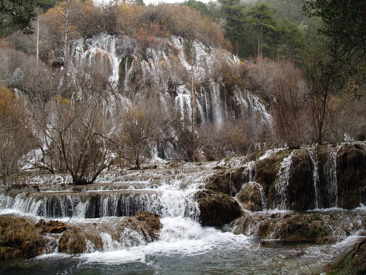 water river nature free photo