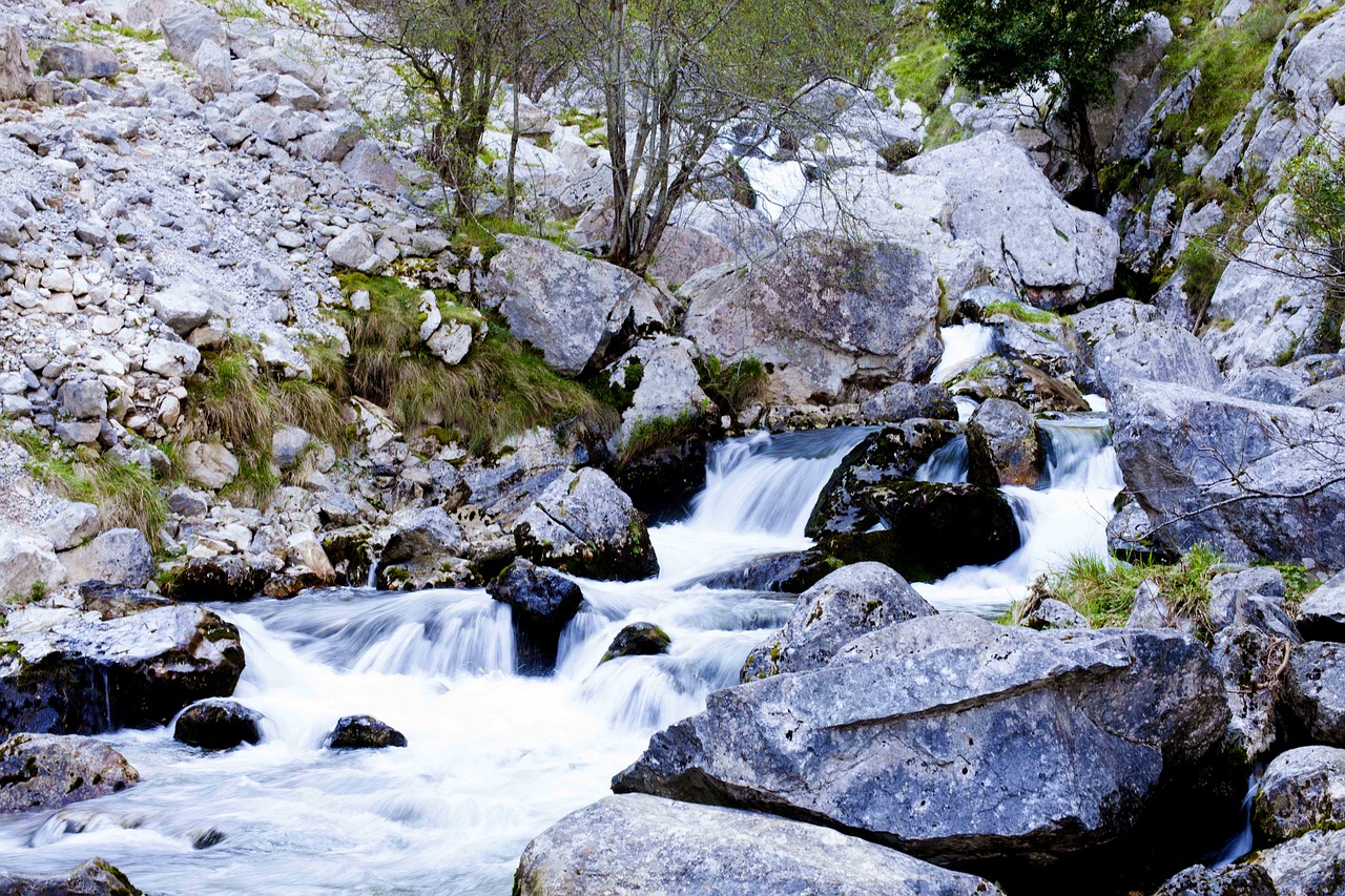 water  river  asturias free photo