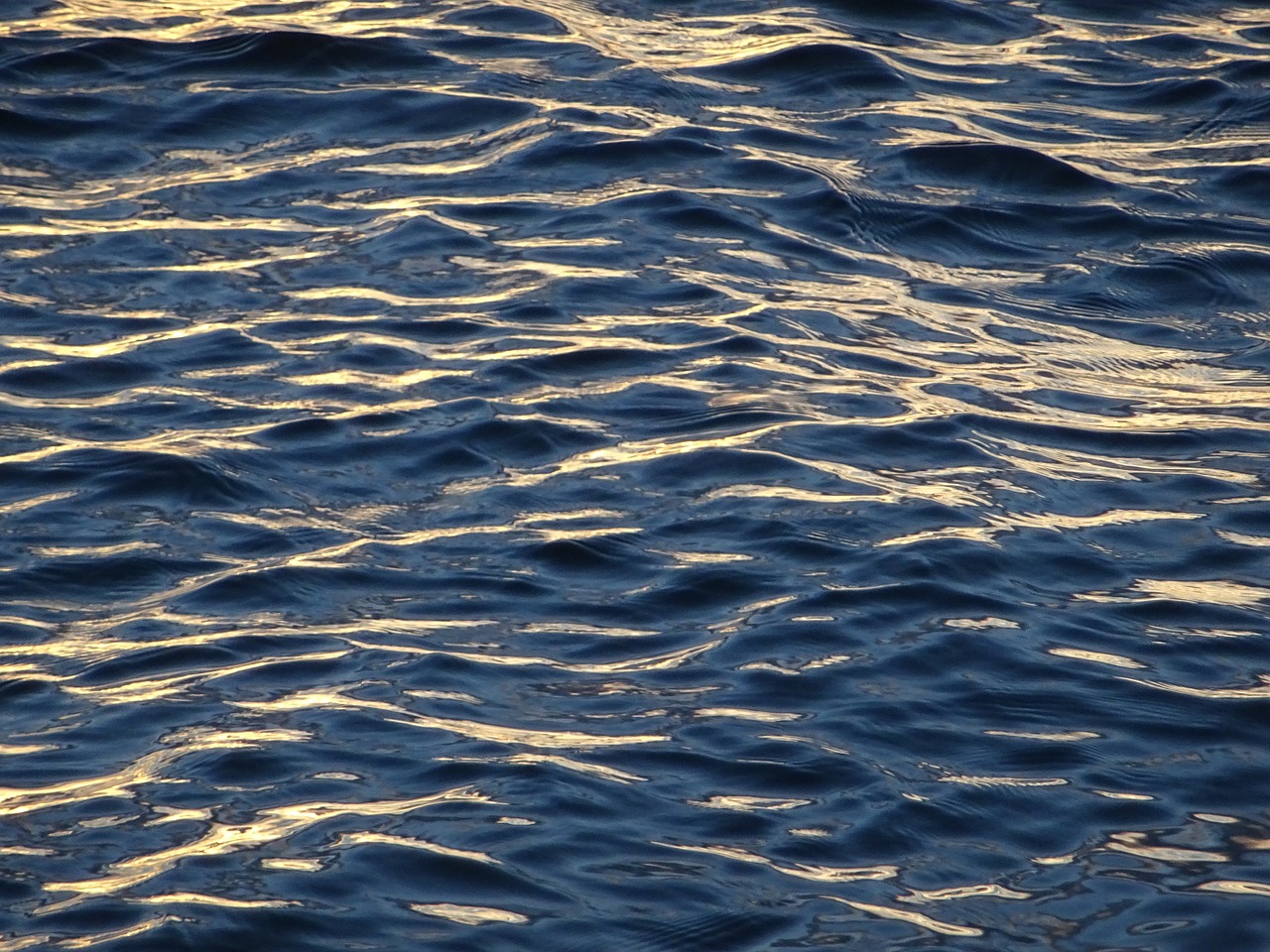 water  sea  ripples free photo