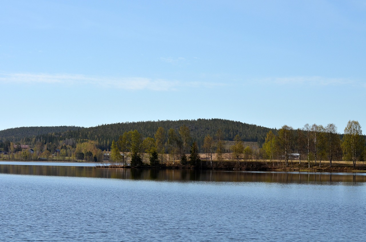 water nature tree free photo