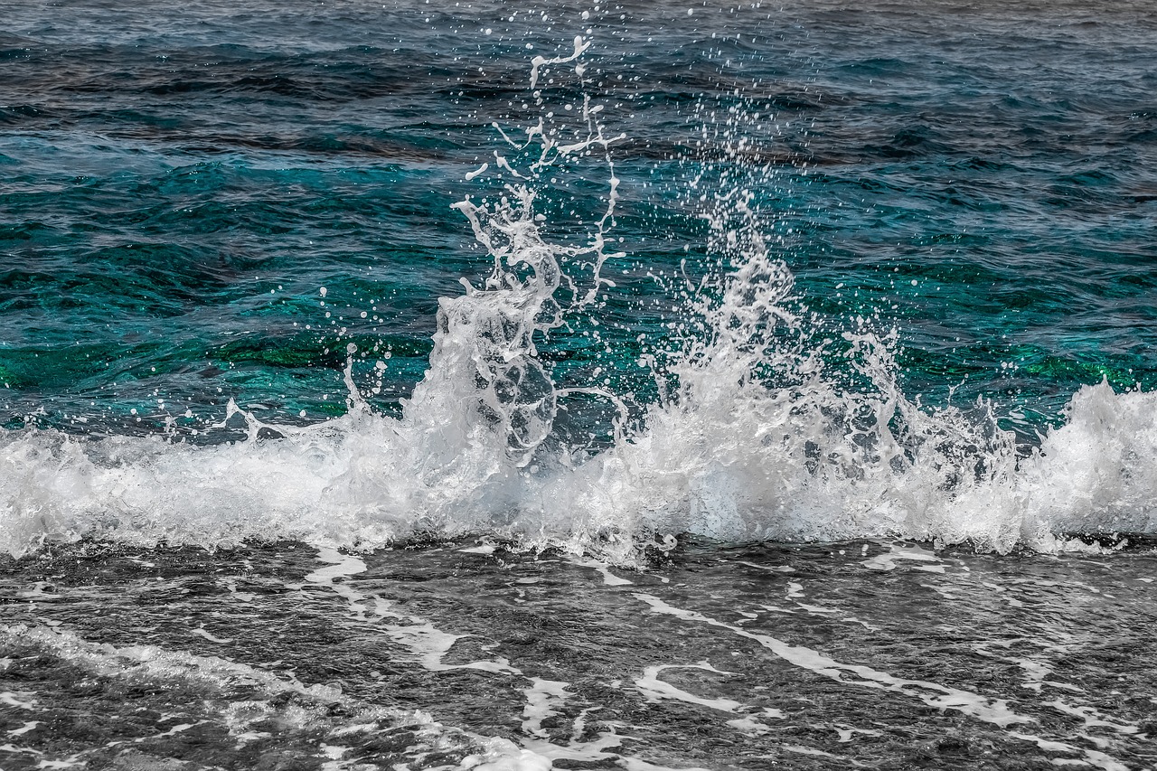 water  wave  sea free photo