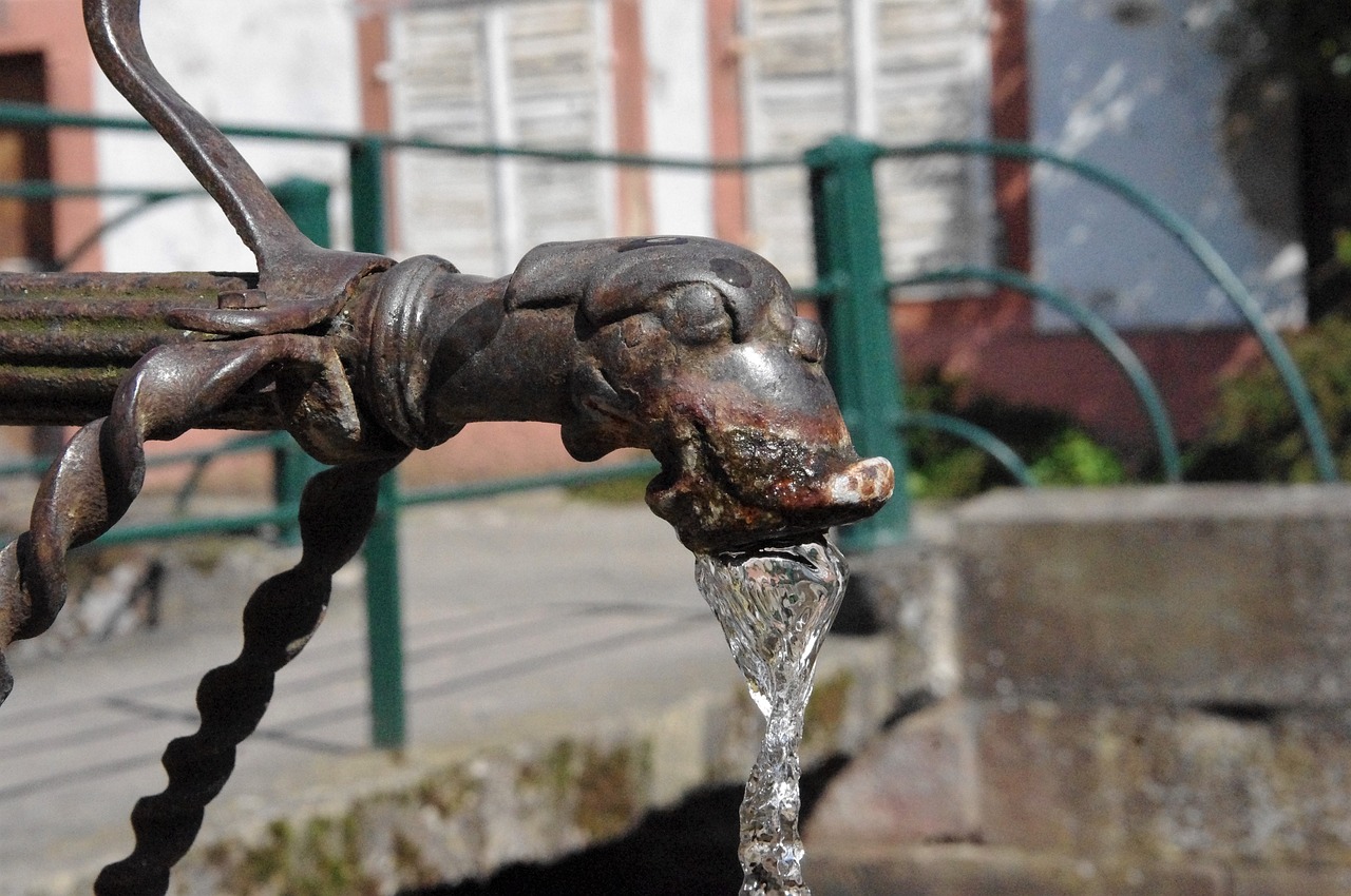 water  gargoyle  fountain free photo