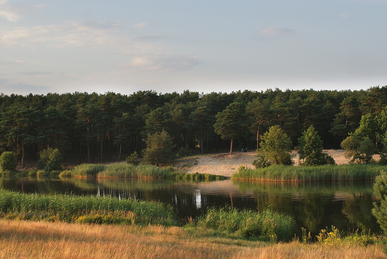 water  landscape  figure free photo