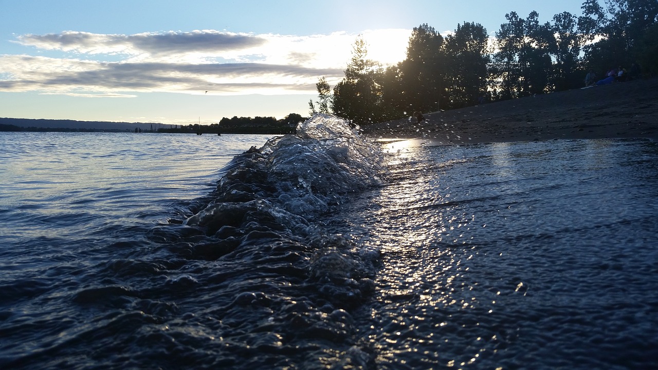 water  wave  crashing trees free photo