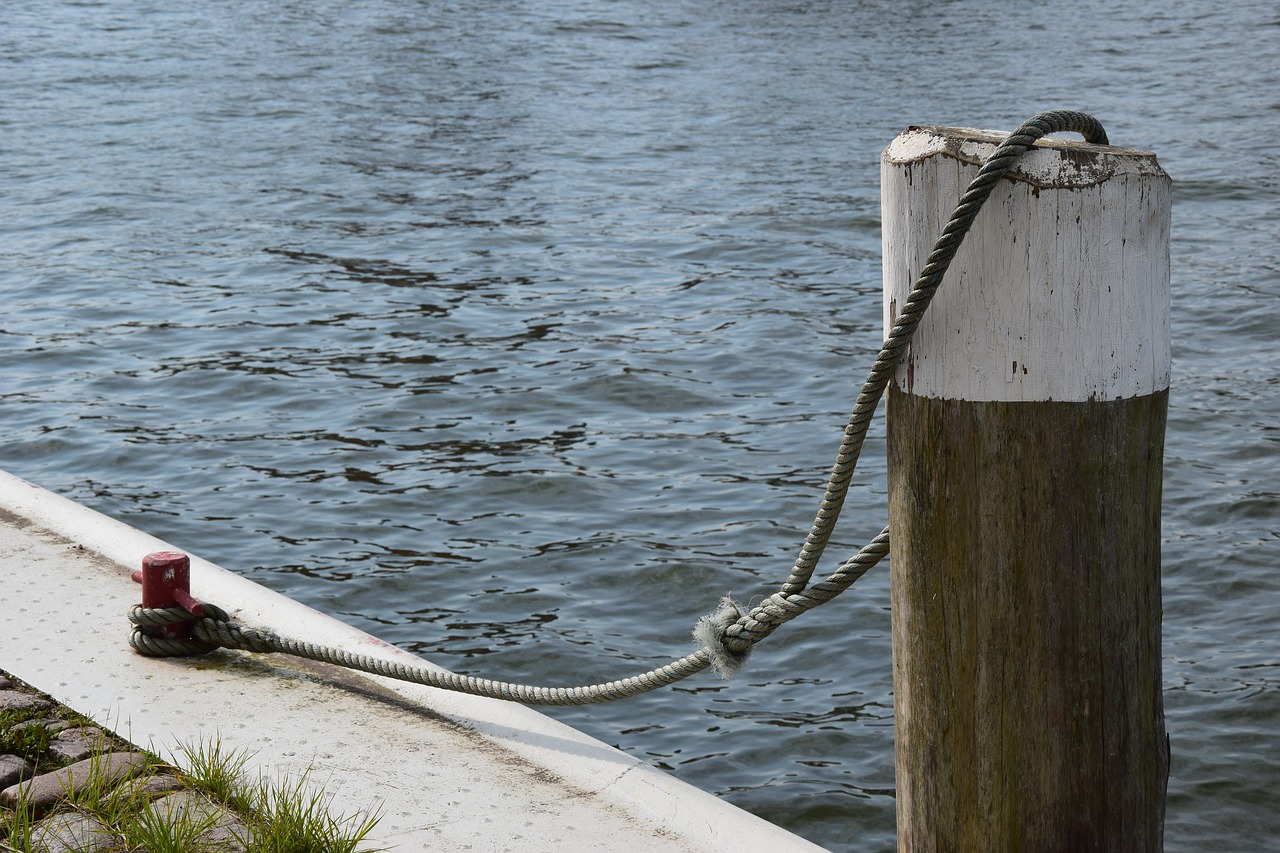 water  wood pile  pier free photo