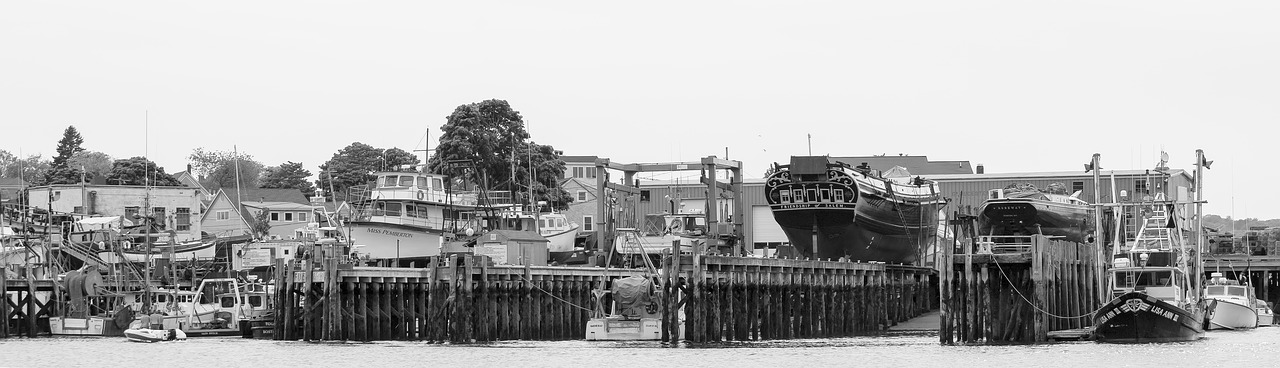 water  harbor  ships free photo