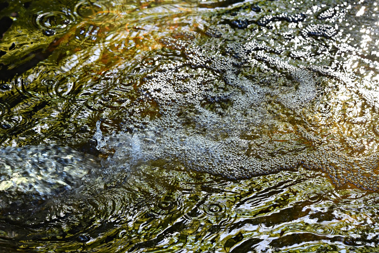 water  flowing  bubbles free photo