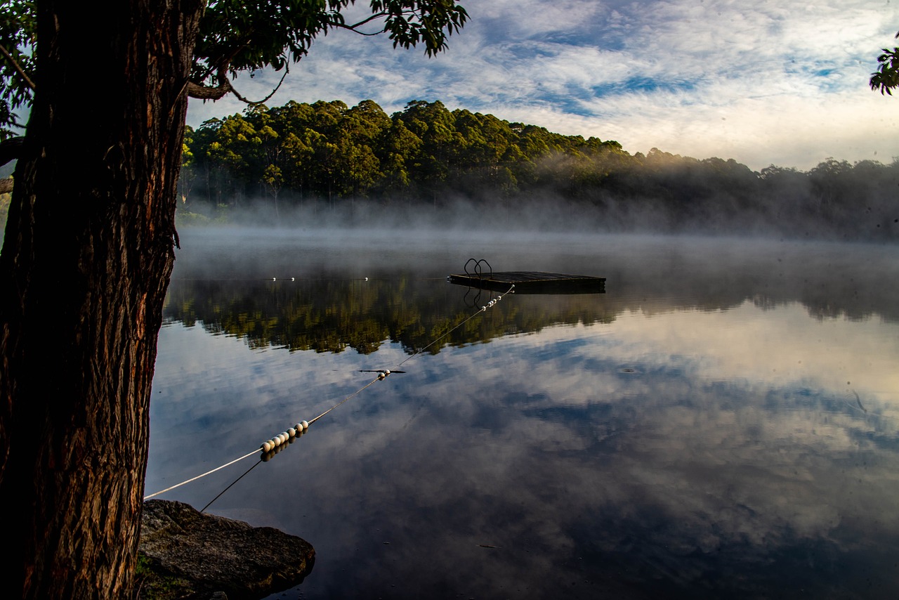 Misty waters