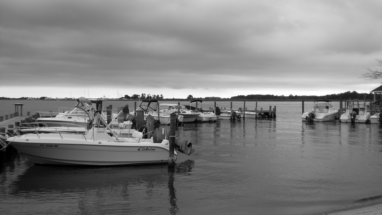 water  dock  boats free photo