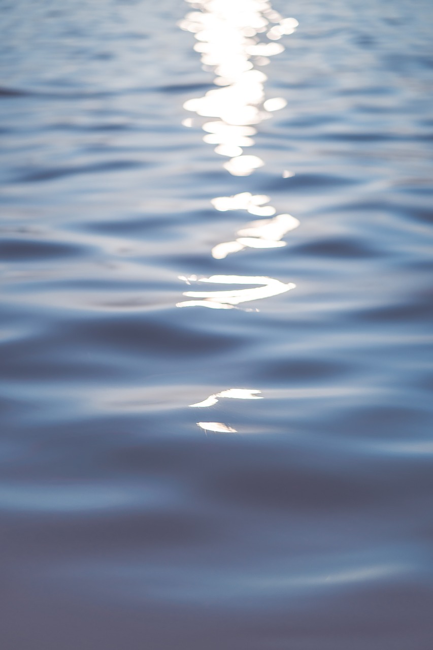 water  sun  reflection free photo