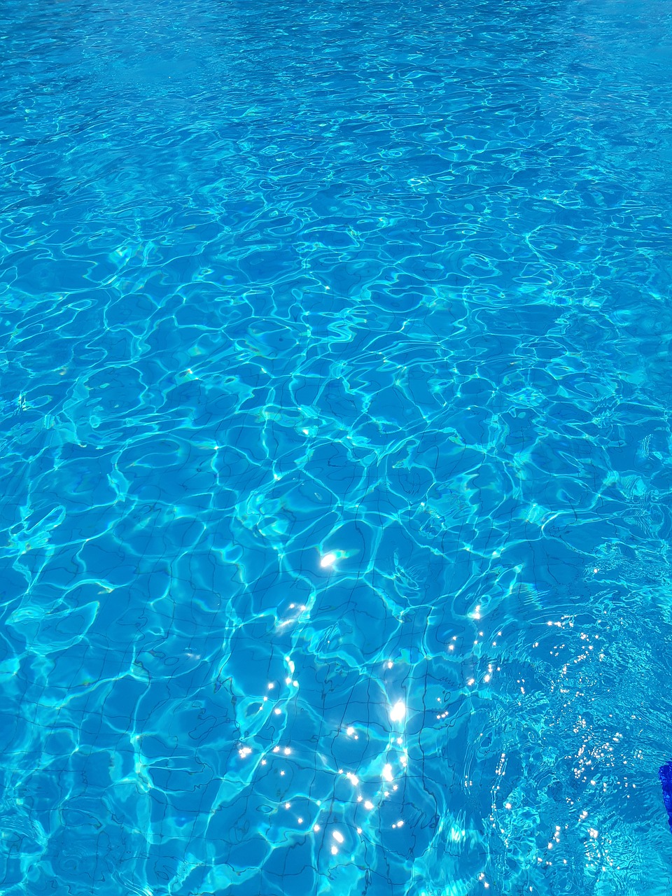 water  pool  blue free photo