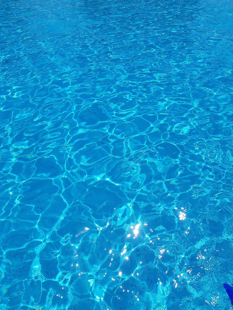 water  pool  blue free photo