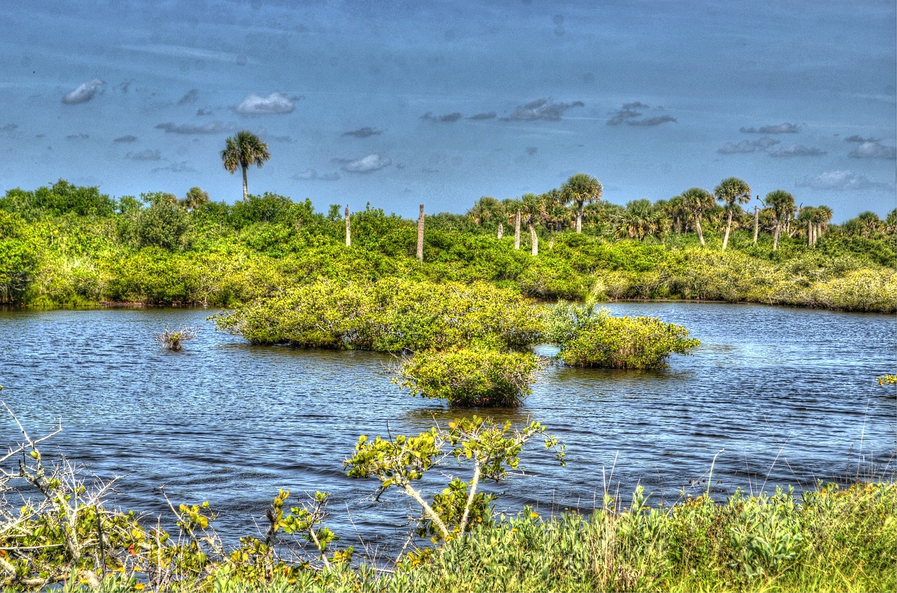 water cape canaveral canaveral national seashore free photo