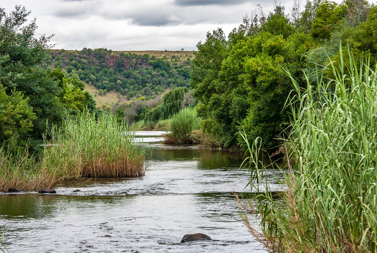 water  river  waterway free photo