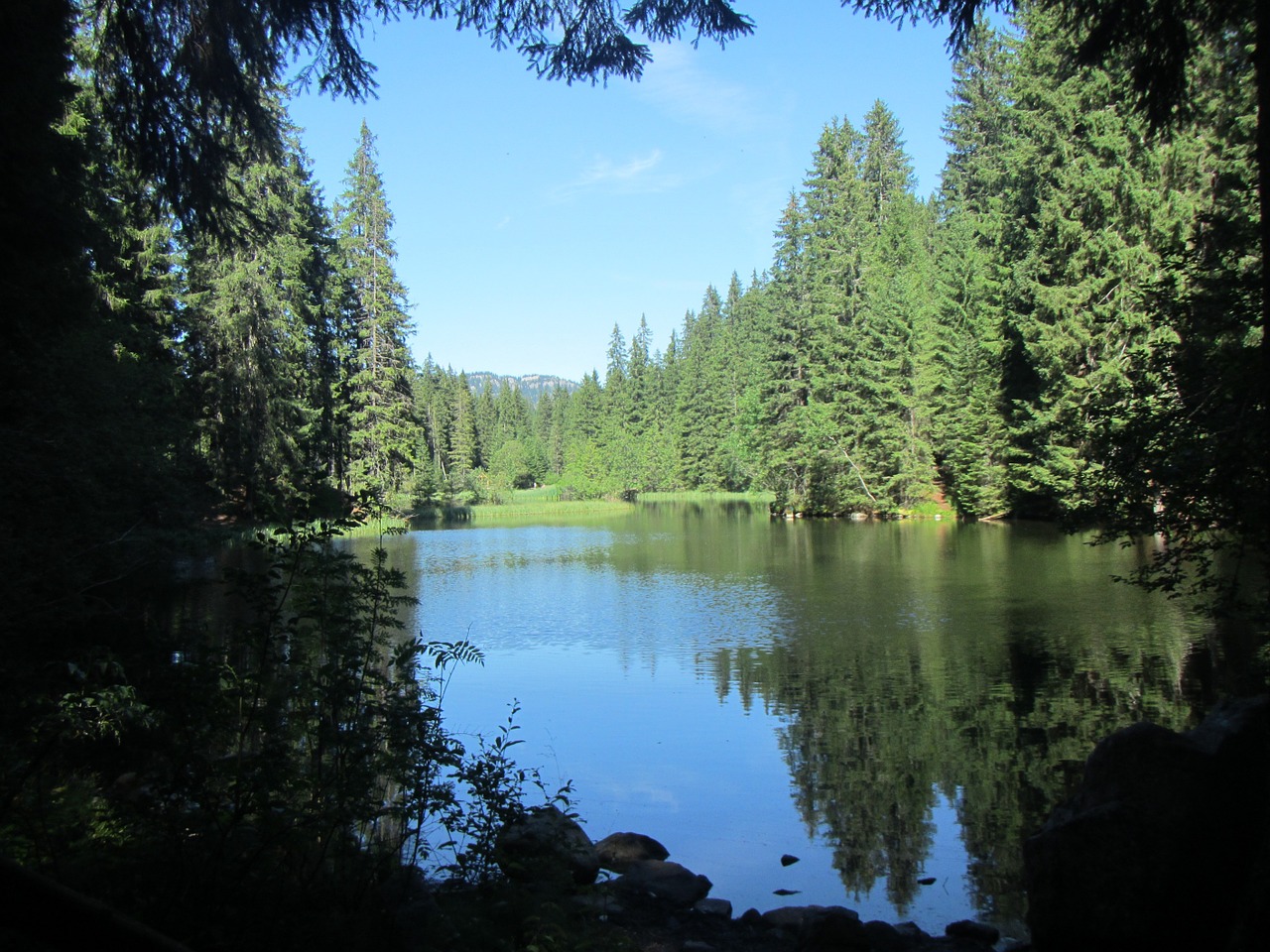 water nature reflection free photo