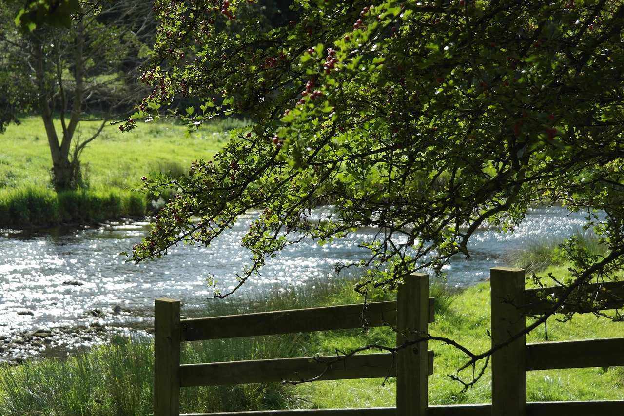 water  flowing water  mill free photo