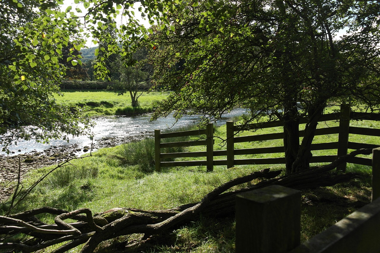 water  flowing water  mill free photo