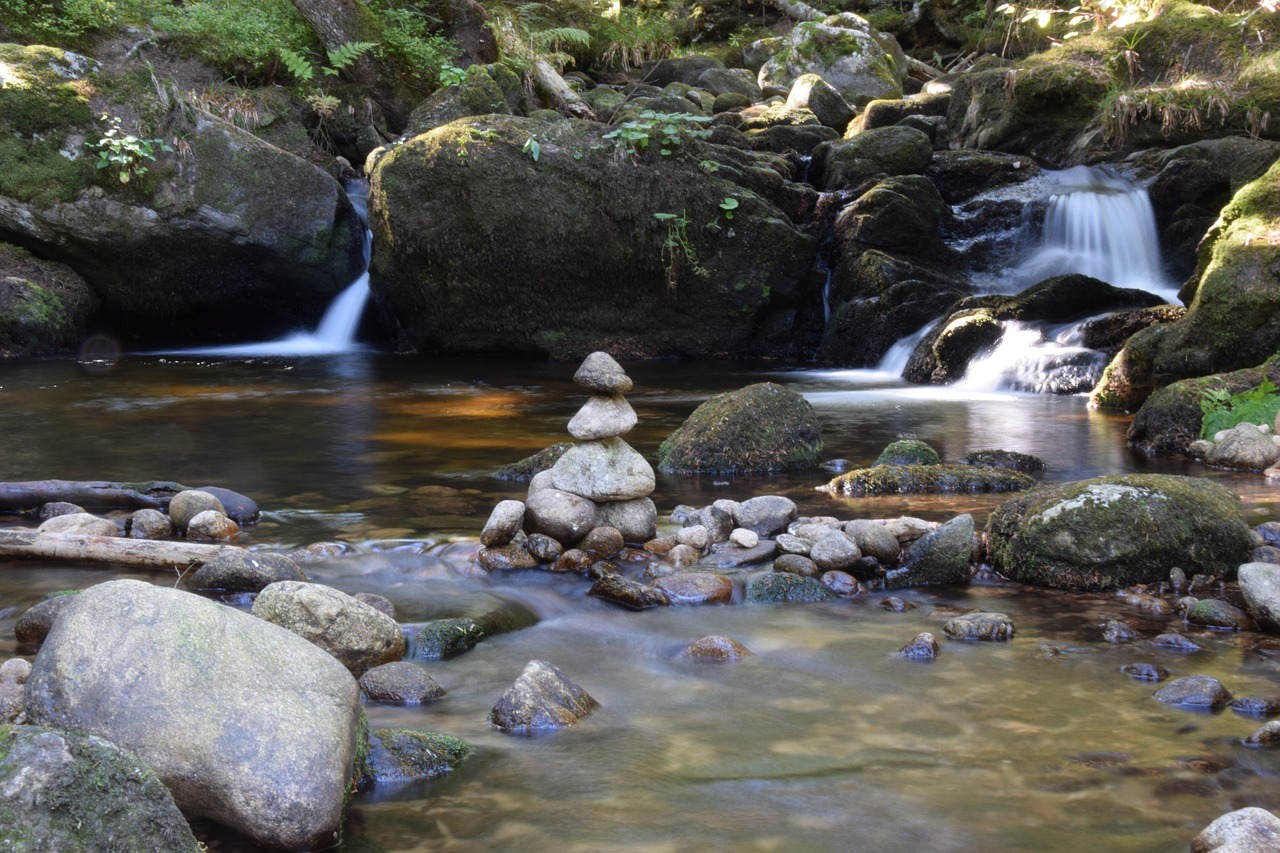 water  creek  cascade free photo