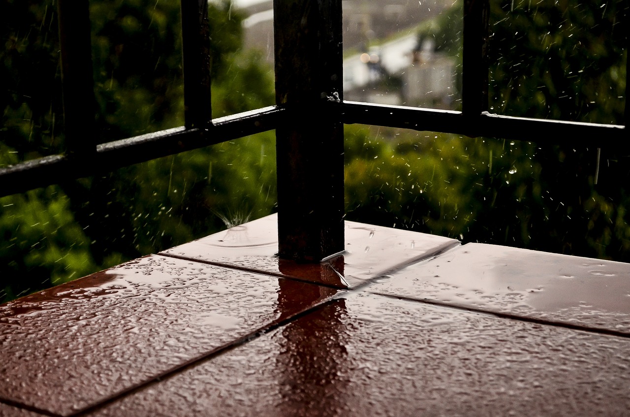 water  drops  reflection free photo