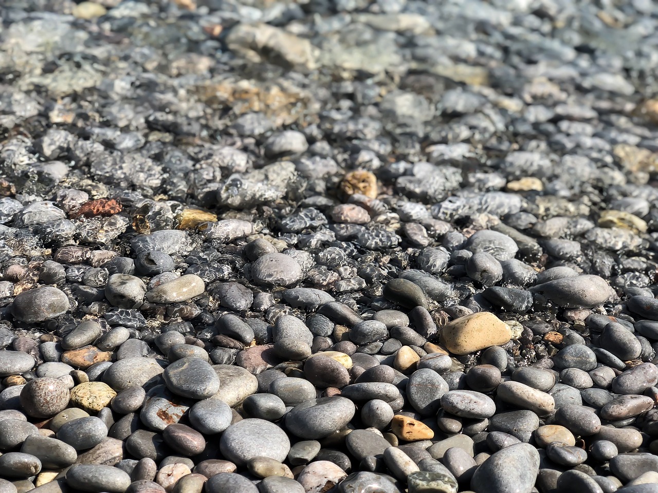 water  stones  beach free photo