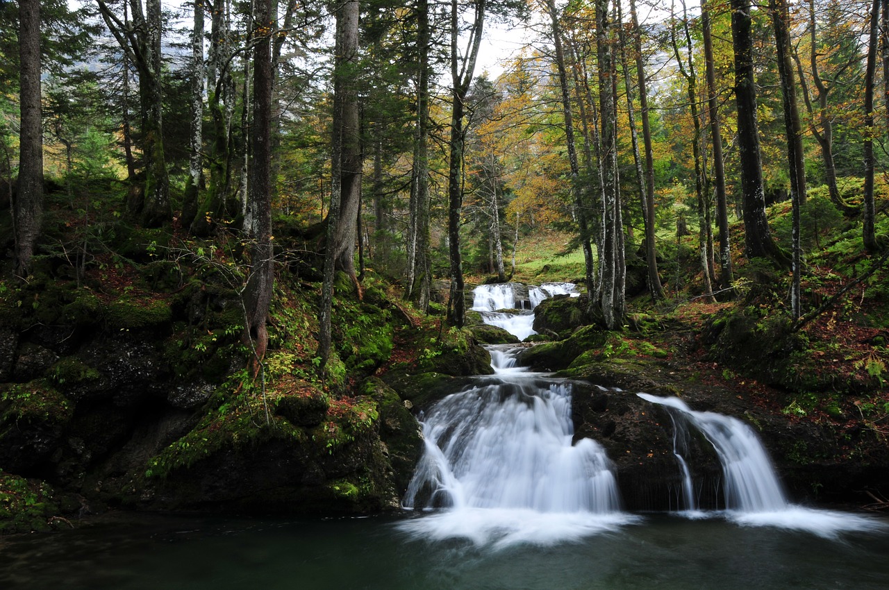 water  nature  summer free photo