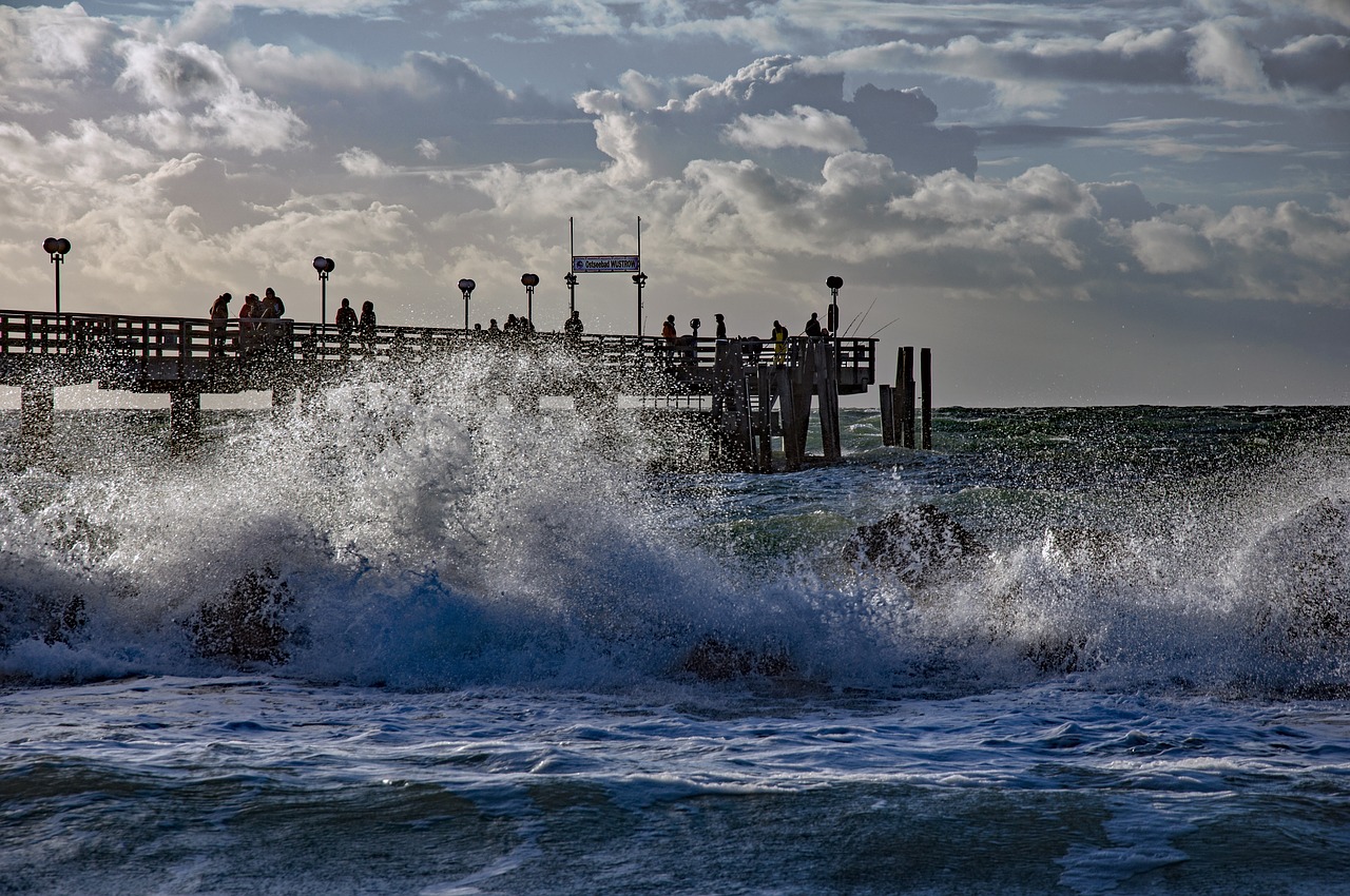 water  wave  surf free photo