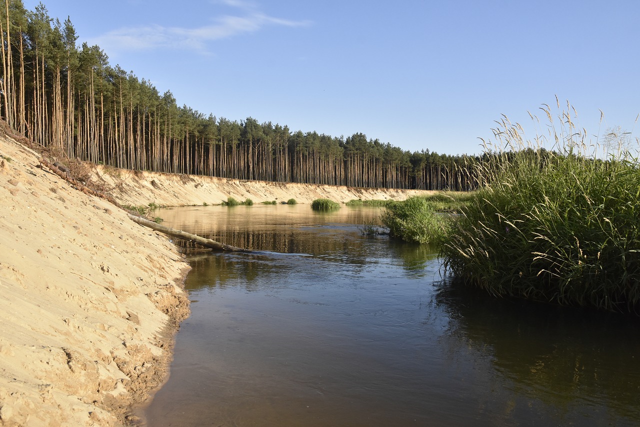 water  river  nature free photo