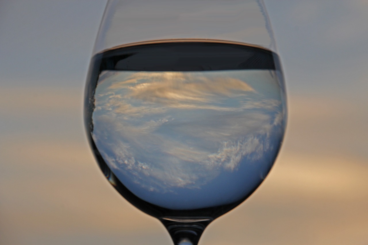 water  water glass  wine glass free photo