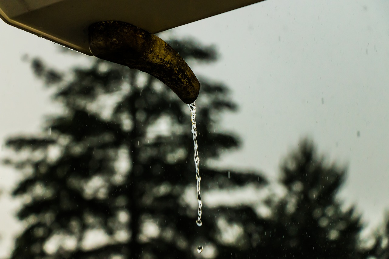 water  rain  drip free photo