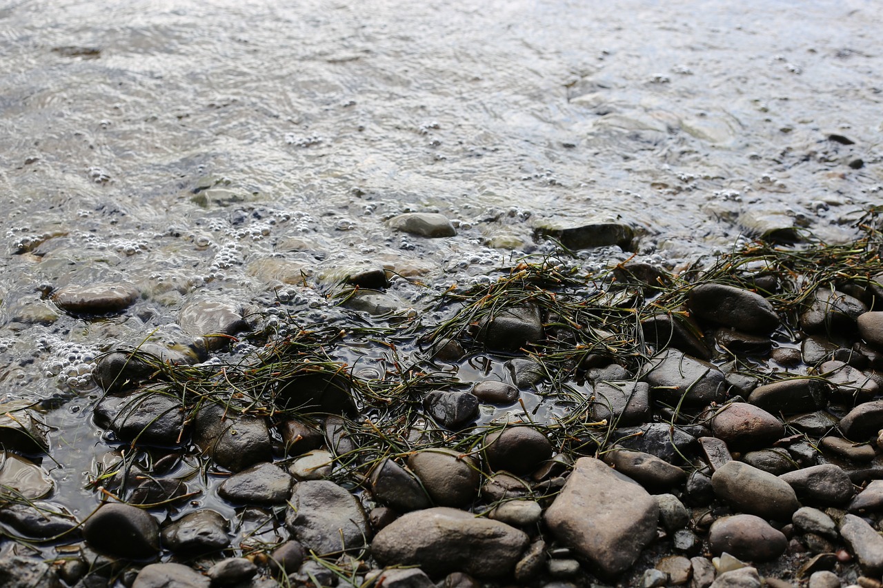 water  loch  lochside free photo