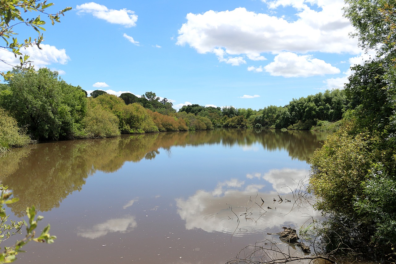 water  nature  lake free photo