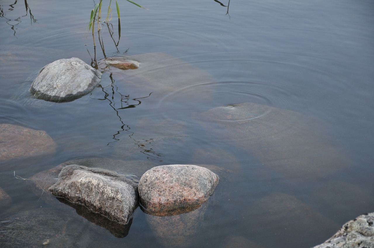 water  stones  lake free photo