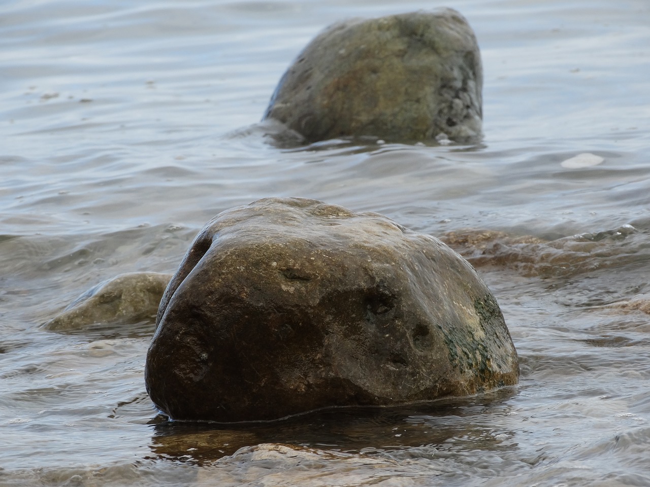 water  stone  sea free photo