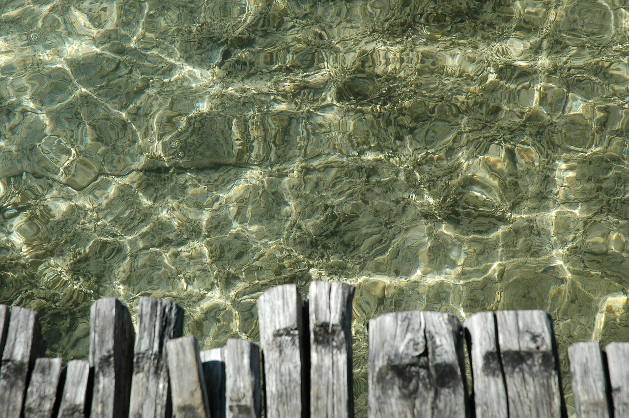 Wood lakes. Вода и дерево поверхность. Фон с мост вода растения. Фон мост вода плитка. Background Water Wood.