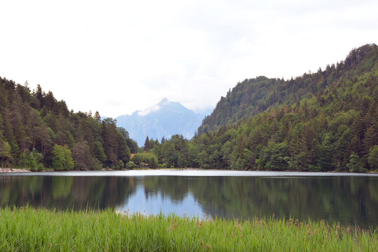 water  alatsee  allgäu free photo