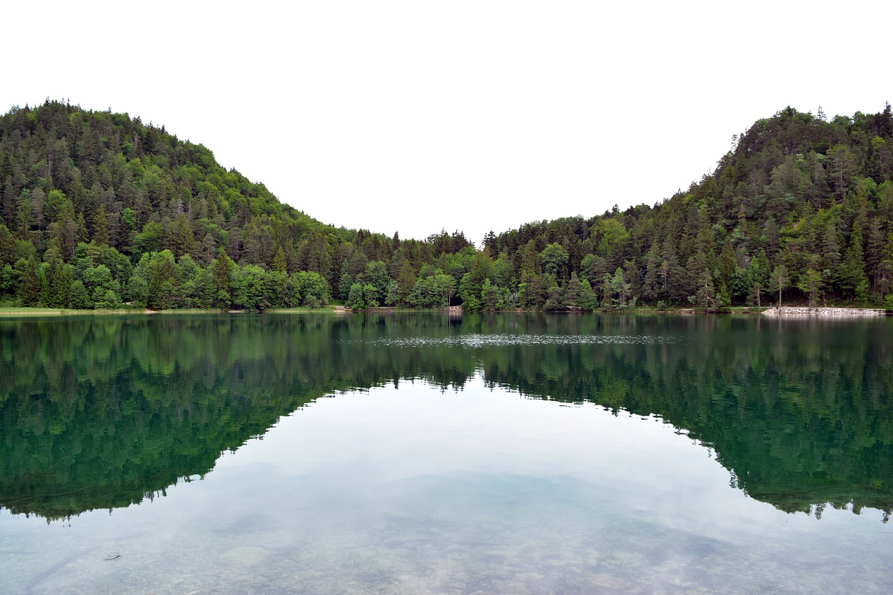 water  alatsee  allgäu free photo