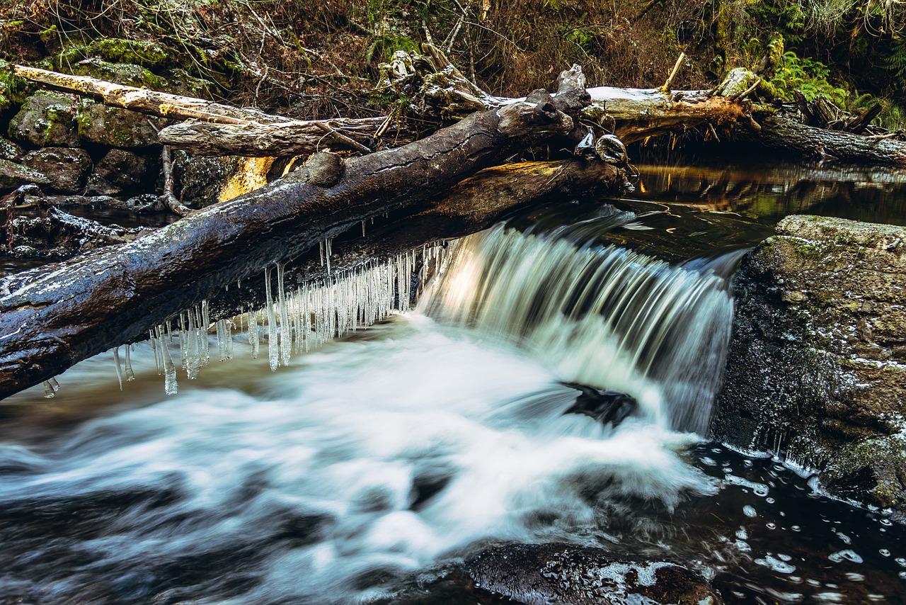 water  cold  winter free photo