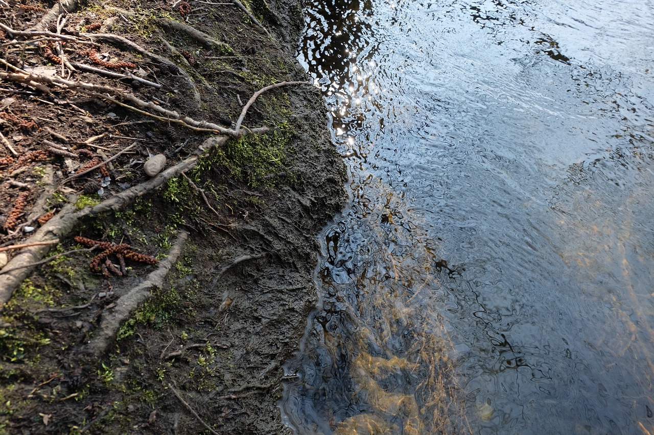 water  mirroring  nature free photo