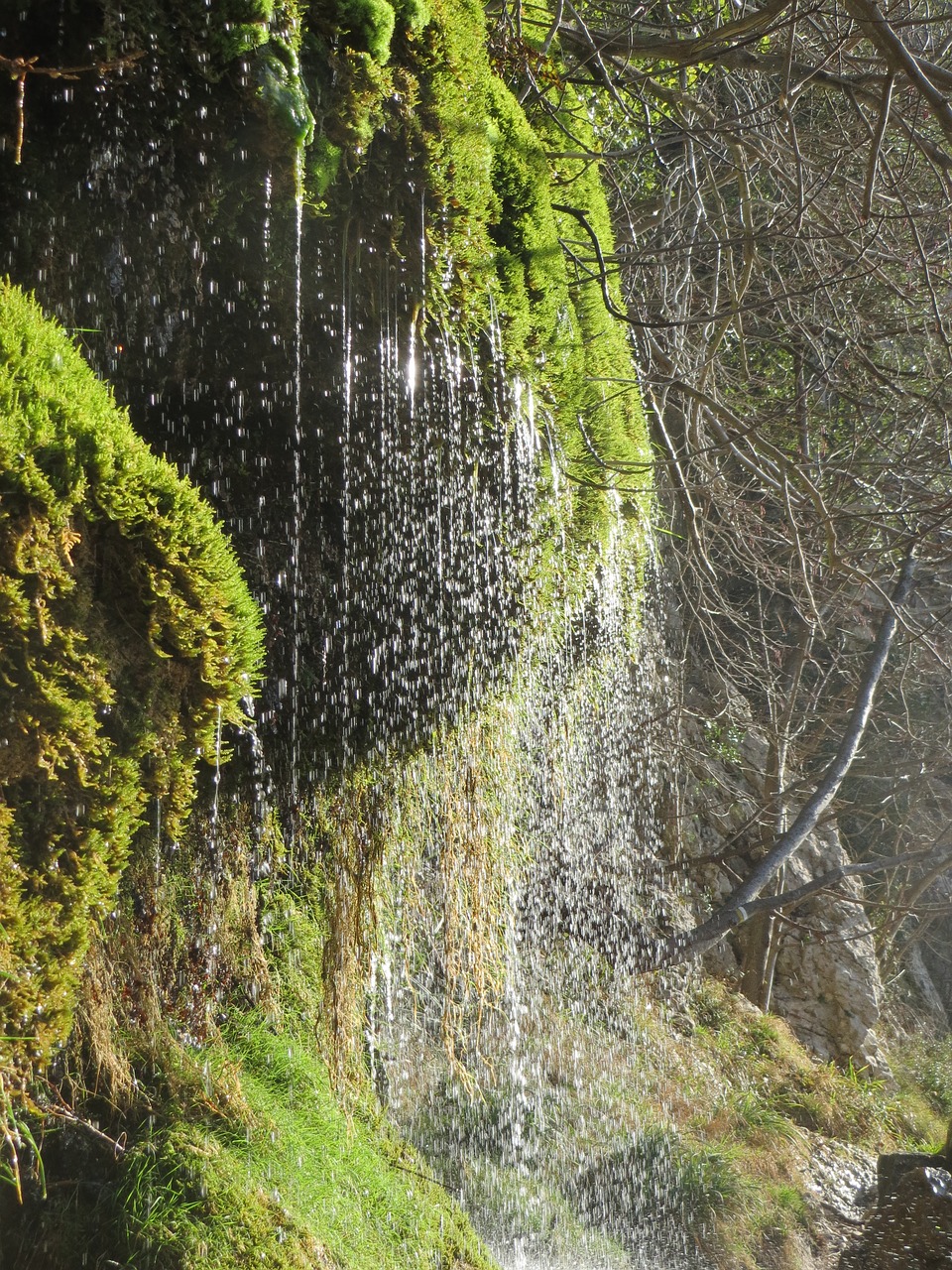 water  waterfall  the creek free photo