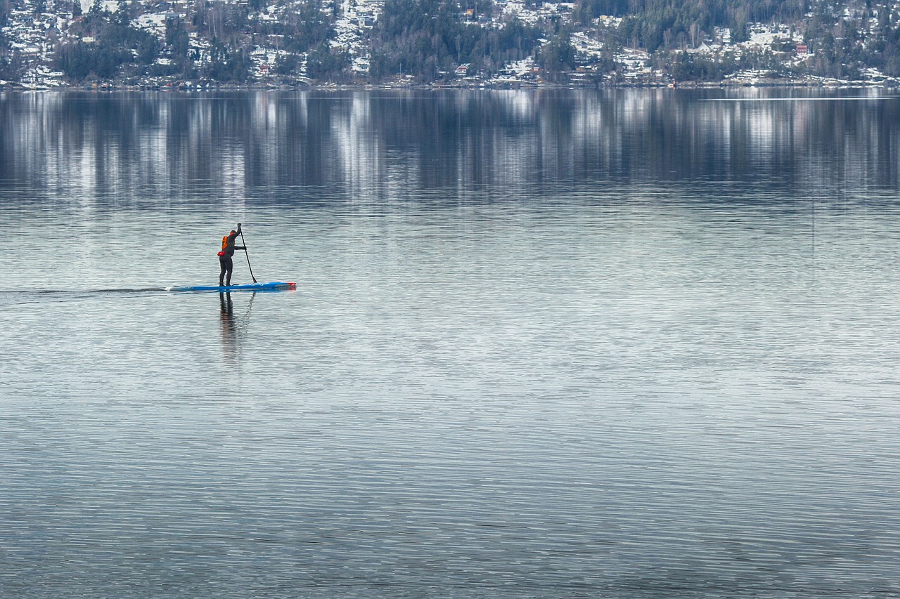 water  paddle  sea free photo