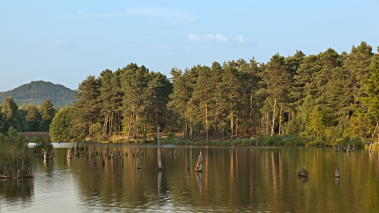 water  nature  lake free photo