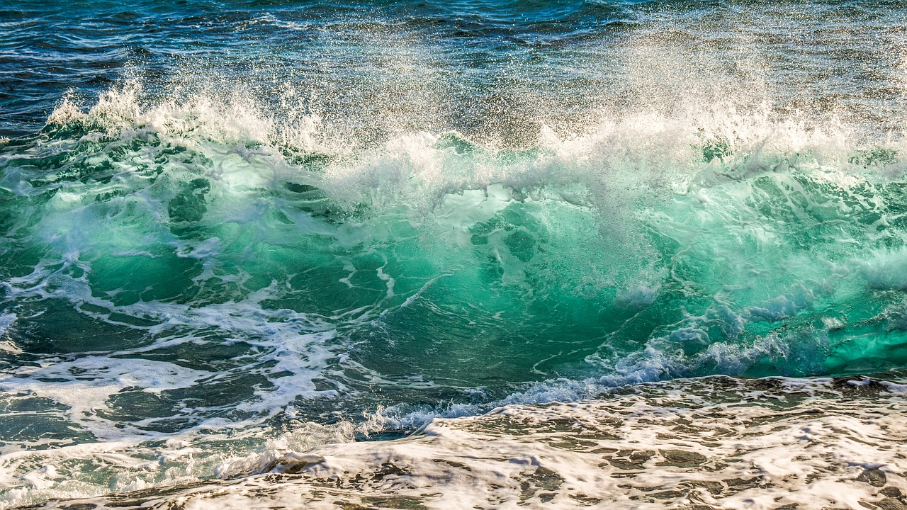 water  sea  surf free photo