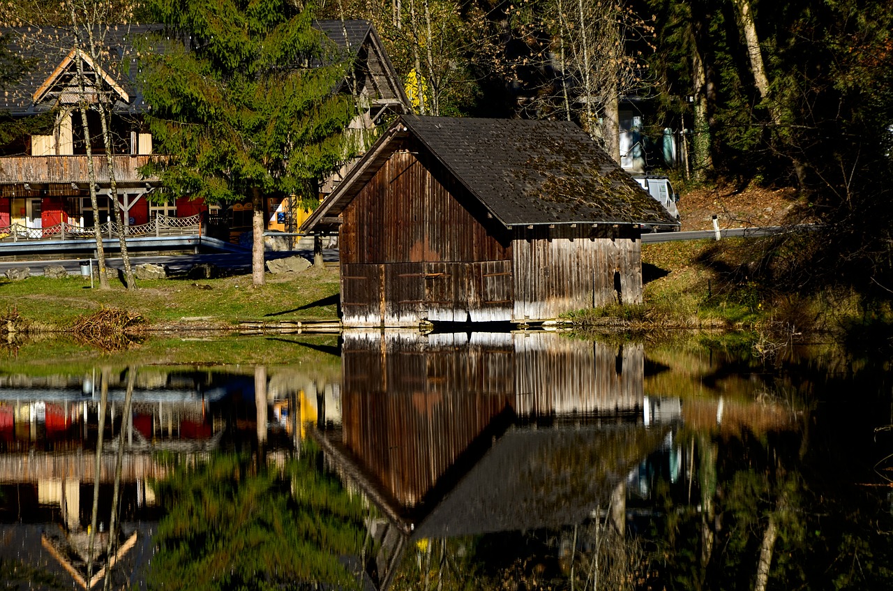 water  mirroring  pond free photo