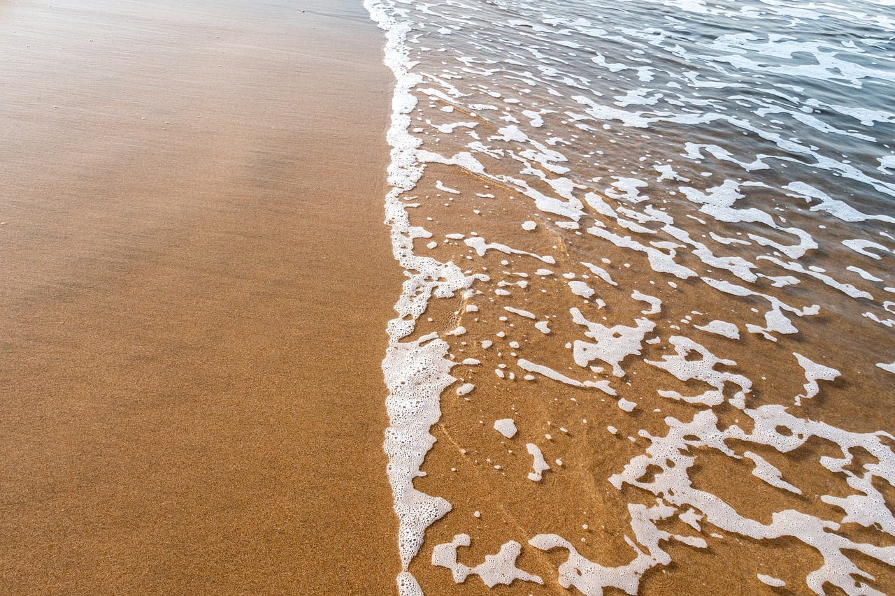 water  sand  beach free photo